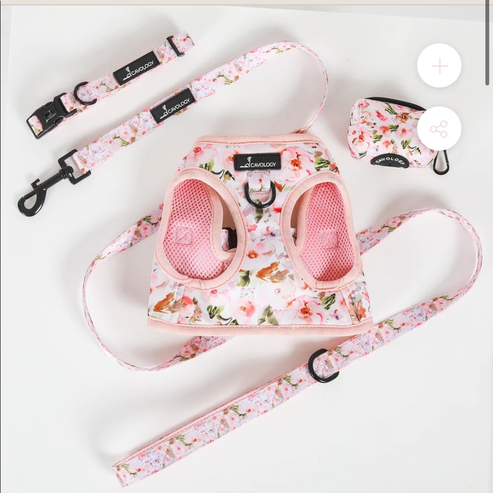 Cavology Dog bundle